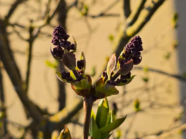 Foto: Heidrun Rosenberger