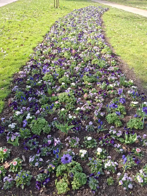 Foto: Norbert Sanftmann