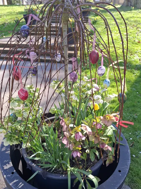 Foto: Norbert Sanftmann