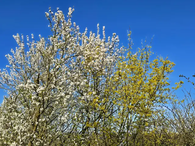 Foto: Heidrun Rosenberger