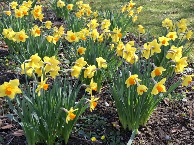 Foto: Norbert Sanftmann