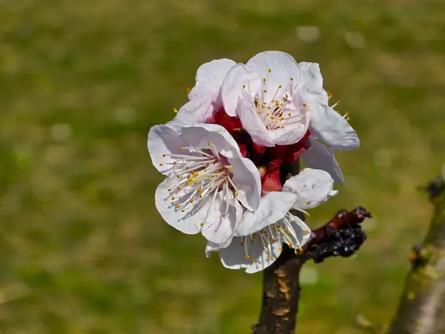 Foto: Heidrun Rosenberger