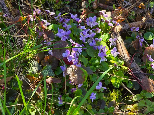Foto: Heidrun Rosenberger