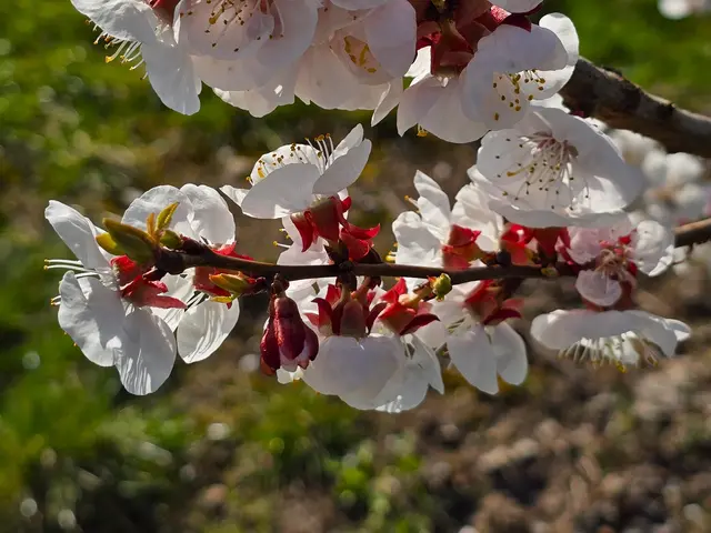 Foto: Heidrun Rosenberger