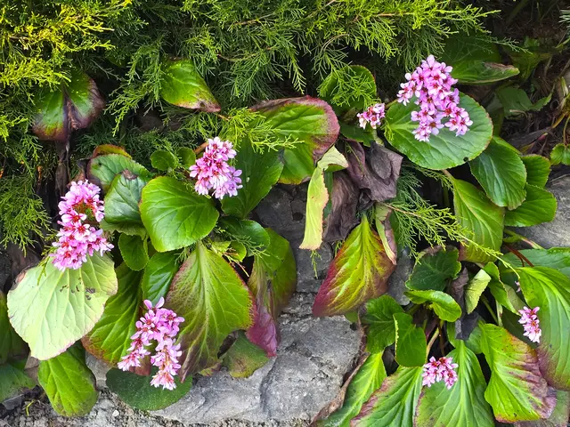 Foto: Heidrun Rosenberger