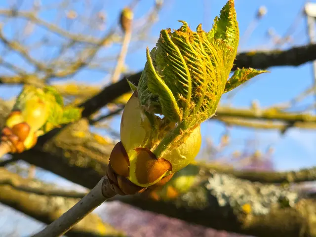 Foto: Heidrun Rosenberger