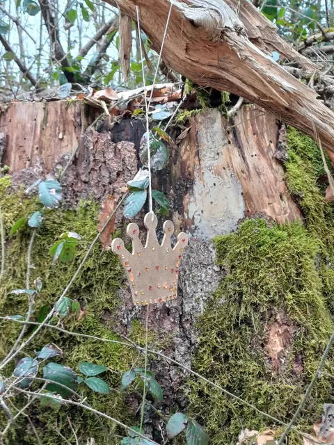 Schätze im Märchenwald | Foto: Katja Wende