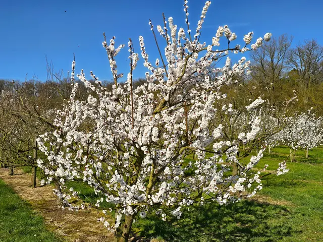 Foto: Heidrun Rosenberger