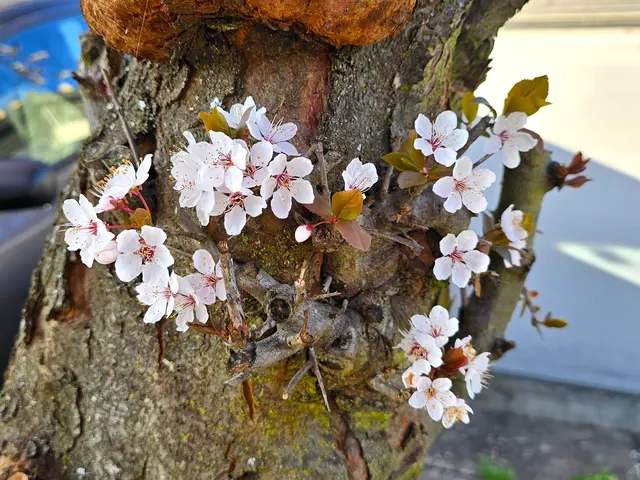 Foto: Heidrun Rosenberger