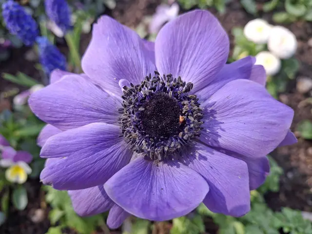 Foto: Norbert Sanftmann