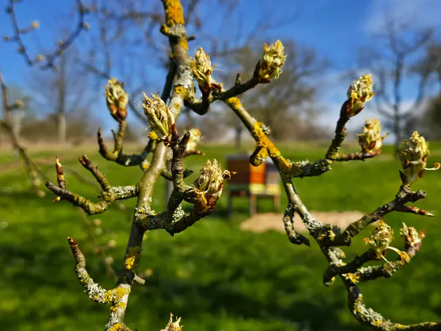 Foto: Heidrun Rosenberger