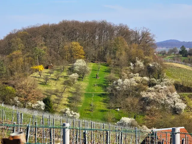 Foto: Heidrun Rosenberger