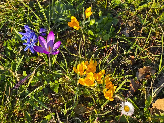 Foto: Heidrun Rosenberger