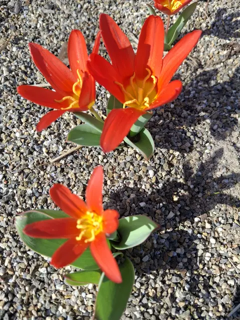 Foto: Norbert Sanftmann