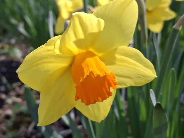 Foto: Norbert Sanftmann