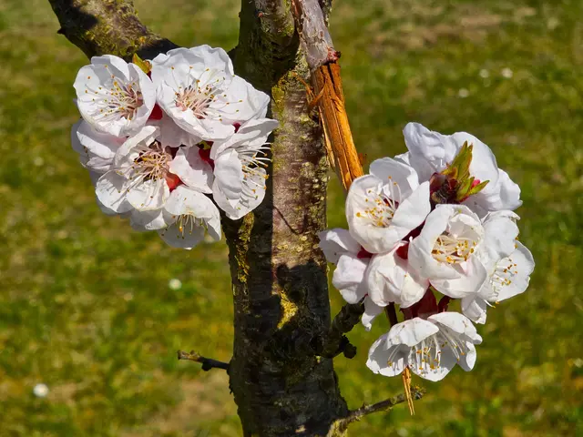 Foto: Heidrun Rosenberger