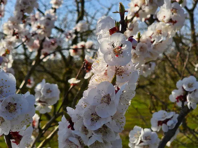 Foto: Heidrun Rosenberger