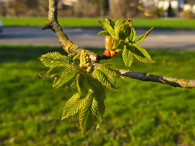 Foto: Heidrun Rosenberger