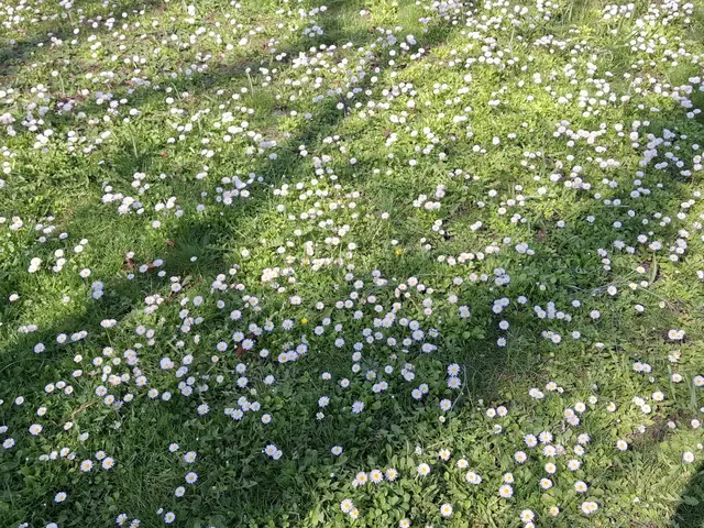 Foto: Norbert Sanftmann