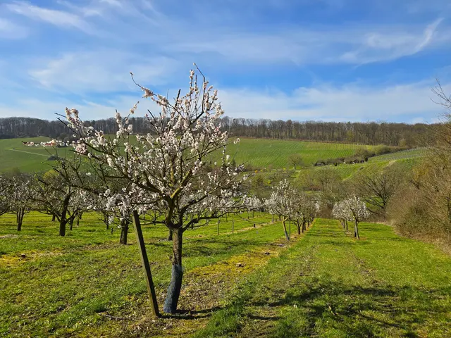 Foto: Heidrun Rosenberger