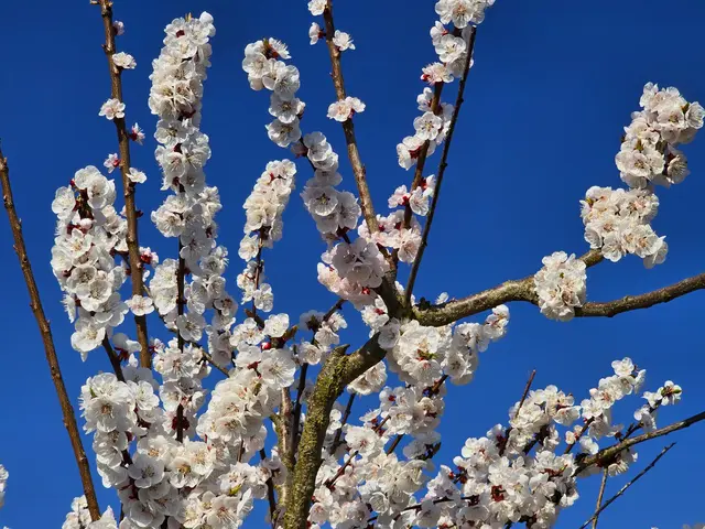 Foto: Heidrun Rosenberger