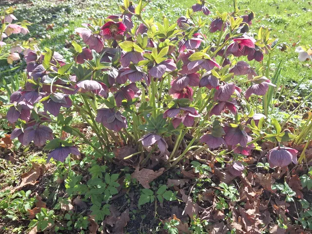 Foto: Norbert Sanftmann