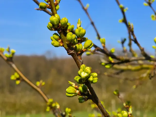 Foto: Heidrun Rosenberger