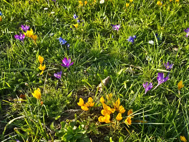 Foto: Heidrun Rosenberger