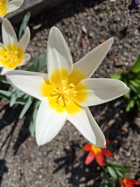 Foto: Norbert Sanftmann