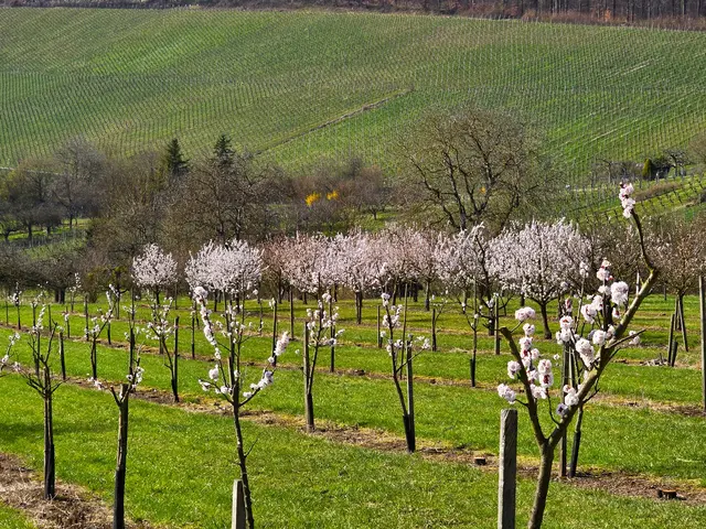 Foto: Heidrun Rosenberger