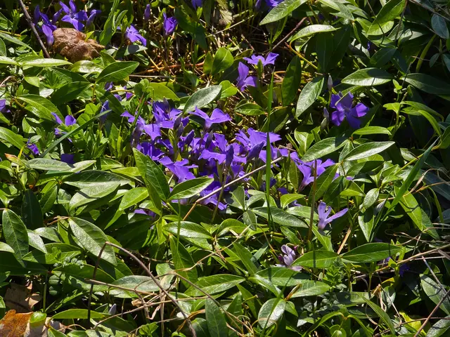 Foto: Heidrun Rosenberger