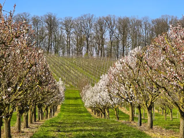 Foto: Heidrun Rosenberger