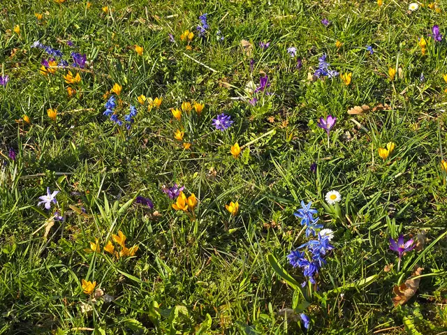Foto: Heidrun Rosenberger