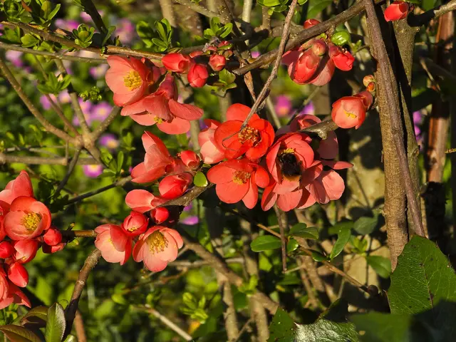 Foto: Heidrun Rosenberger