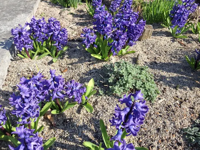 Foto: Norbert Sanftmann