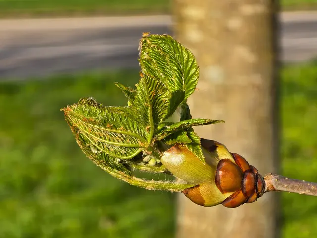 Foto: Heidrun Rosenberger