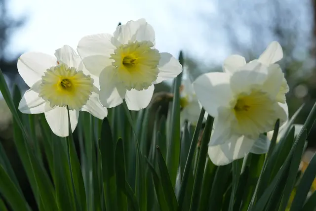 Foto: Moni Bordt