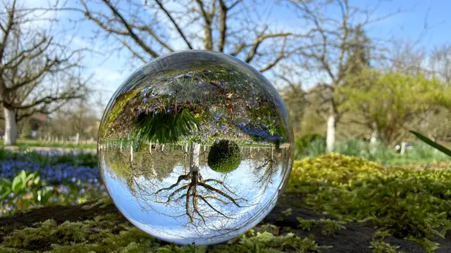 Foto: Moni Bordt