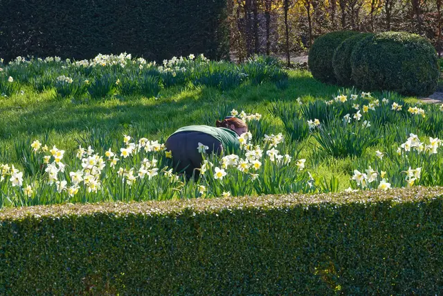 "Wo liegt denn die Tanja schon wieder rum?" 😸 | Foto: WKY