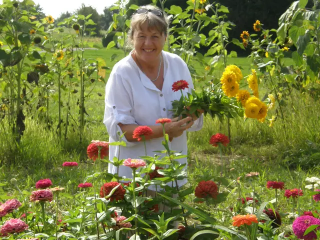 Foto: Hans Peter Schmitt