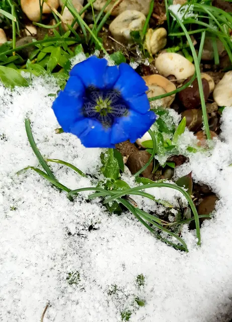 Foto: Annalies Walter