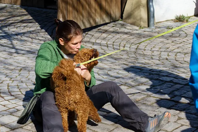 Abgeblitzt 😁 | Foto: WKY