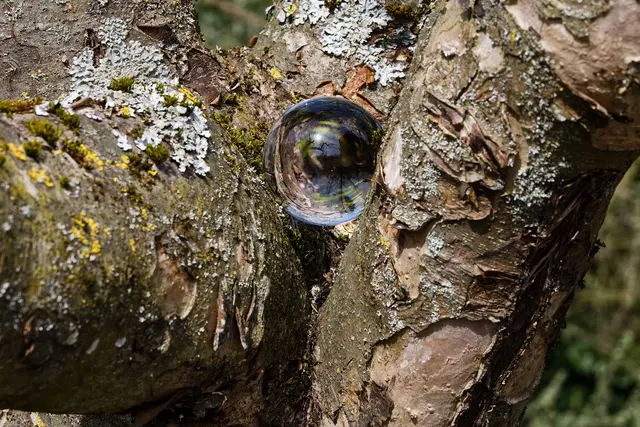 Unsere Moni war auch dabei (Symbolfoto)
 | Foto: WKY