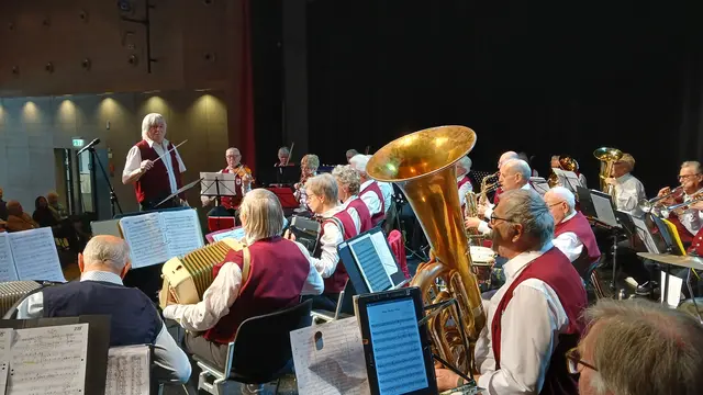 Das Seniorenorchester Heilbronn unter der Leitung von Hans Spahn spielt gerne – für sich und andere. | Foto: privat