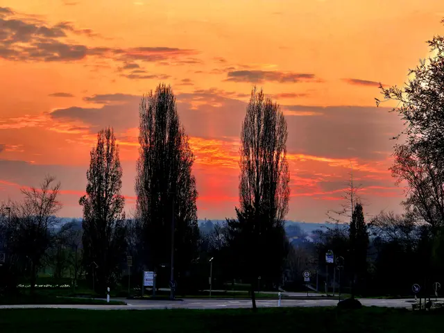 Foto: Heidrun Rosenberger