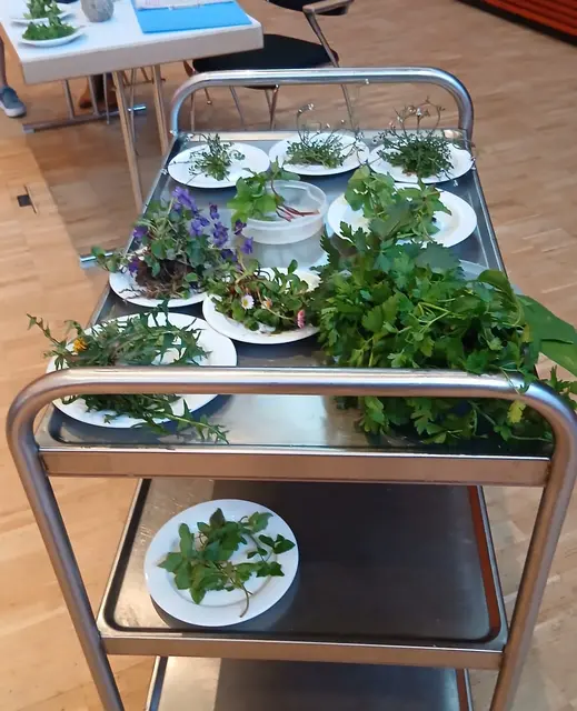 Foto: VdK OV Gundelsheim/Offenau