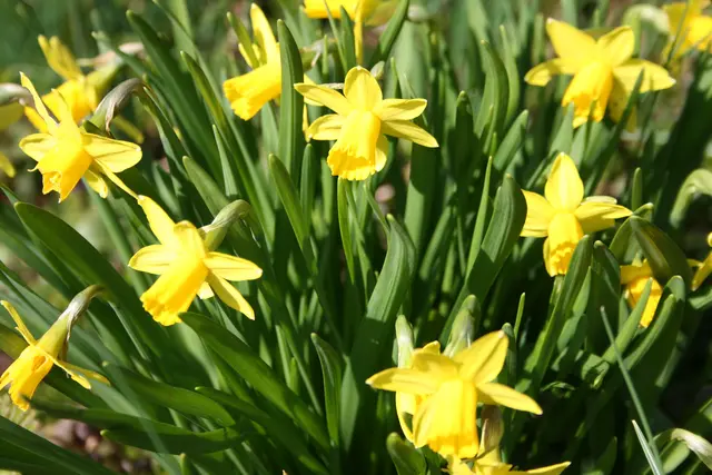 immer wieder schön .. | Foto: (c) GMS