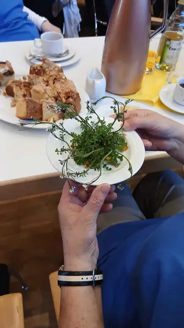 Foto: VdK OV Gundelsheim/Offenau