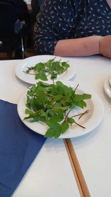 Foto: VdK OV Gundelsheim/Offenau