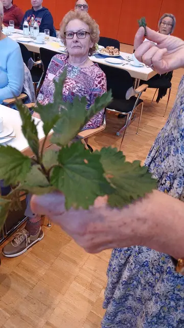 Foto: VdK OV Gundelsheim/Offenau